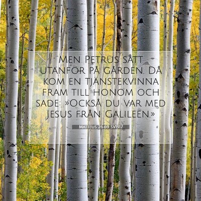 Matteus 26:69 SV1917 Bild av bibelvers