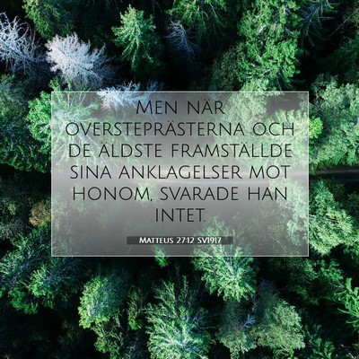 Matteus 27:12 SV1917 Bild av bibelvers