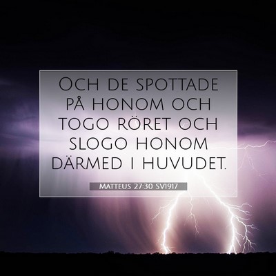 Matteus 27:30 SV1917 Bild av bibelvers