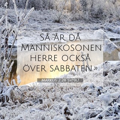 Markus 2:28 Bibelvers Förklarad