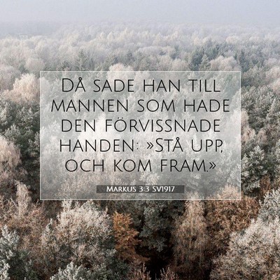 Markus 3:3 Bibelvers Förklarad