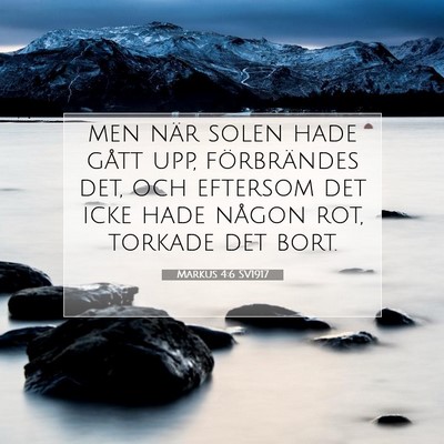 Markus 4:6 Bibelvers Förklarad
