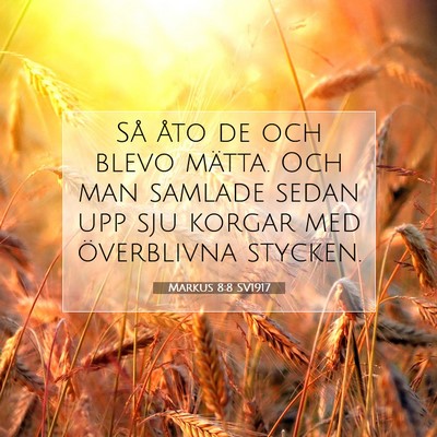 Markus 8:8 Bibelvers Förklarad