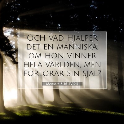 Markus 8:36 SV1917 Bild av bibelvers
