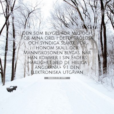 Markus 8:38 Bibelvers Förklarad