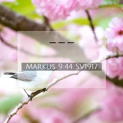 Markus 9:44 Bibelvers Förklarad