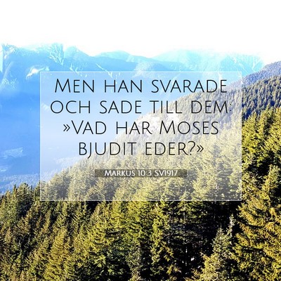 Markus 10:3 Bibelvers Förklarad