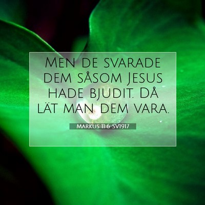 Markus 11:6 Bibelvers Förklarad