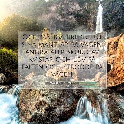 Markus 11:8 SV1917 Bild av bibelvers