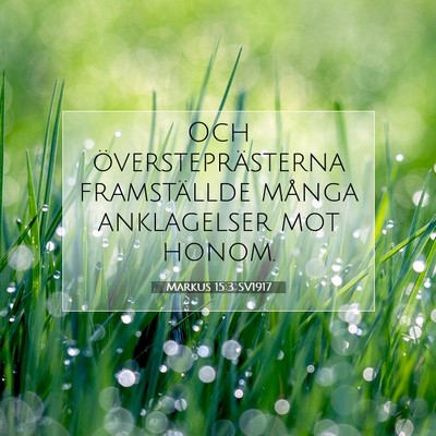 Markus 15:3 Bibelvers Förklarad
