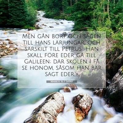 Markus 16:7 Bibelvers Förklarad