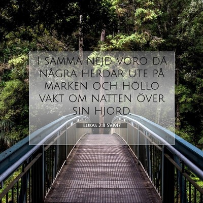Lukas 2:8 Bibelvers Förklarad