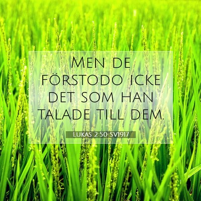 Lukas 2:50 Bibelvers Förklarad