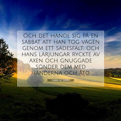Lukas 6:1 SV1917 Bild av bibelvers
