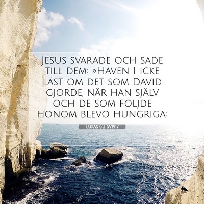 Lukas 6:3 SV1917 Bild av bibelvers