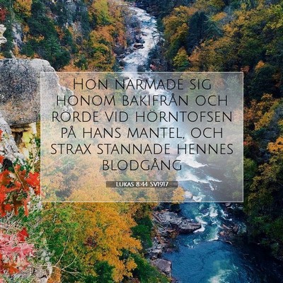 Lukas 8:44 Bibelvers Förklarad