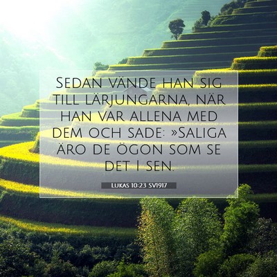 Lukas 10:23 SV1917 Bild av bibelvers