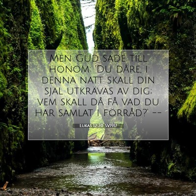 Lukas 12:20 SV1917 Bild av bibelvers