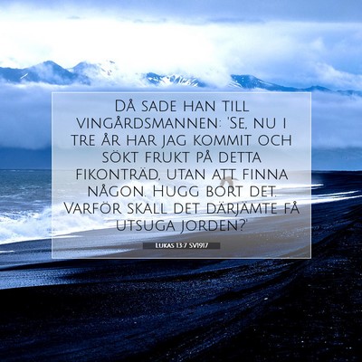 Lukas 13:7 SV1917 Bild av bibelvers