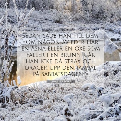 Lukas 14:5 Bibelvers Förklarad