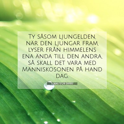 Lukas 17:24 SV1917 Bild av bibelvers