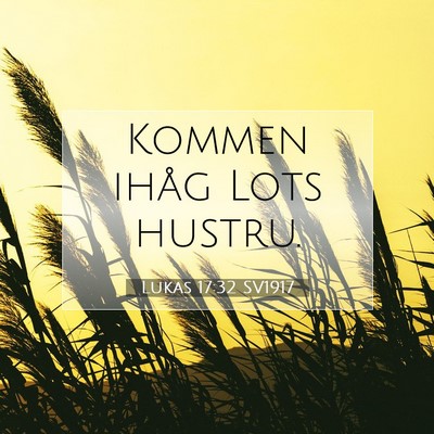 Lukas 17:32 Bibelvers Förklarad