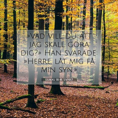 Lukas 18:41 Bibelvers Förklarad