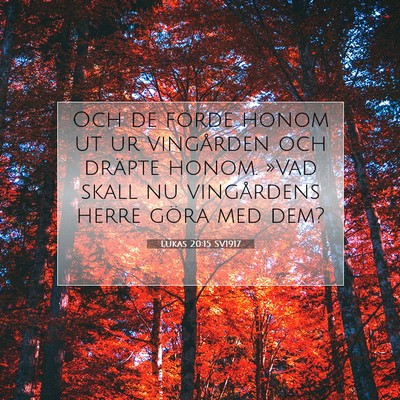 Lukas 20:15 Bibelvers Förklarad