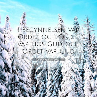 Johannes 1:1 SV1917 Bild av bibelvers