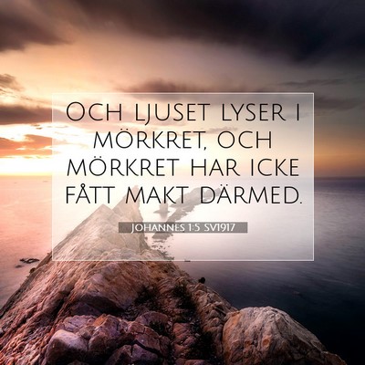 Johannes 1:5 SV1917 Bild av bibelvers