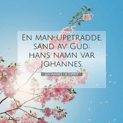 Johannes 1:6 SV1917 Bild av bibelvers