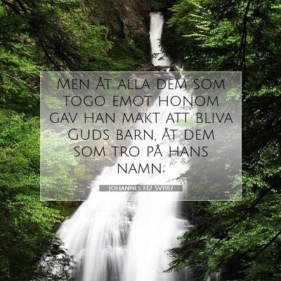 Johannes 1:12 SV1917 Bild av bibelvers