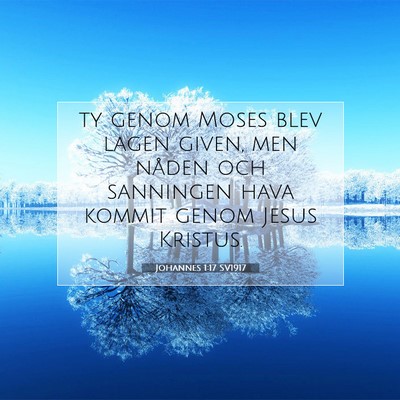 Johannes 1:17 SV1917 Bild av bibelvers