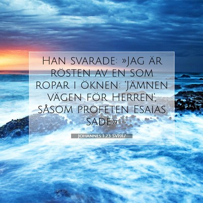 Johannes 1:23 SV1917 Bild av bibelvers
