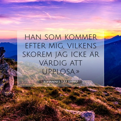 Johannes 1:27 SV1917 Bild av bibelvers
