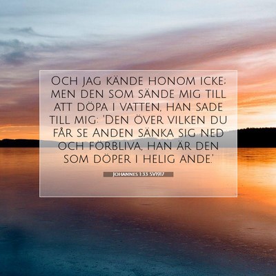 Johannes 1:33 SV1917 Bild av bibelvers