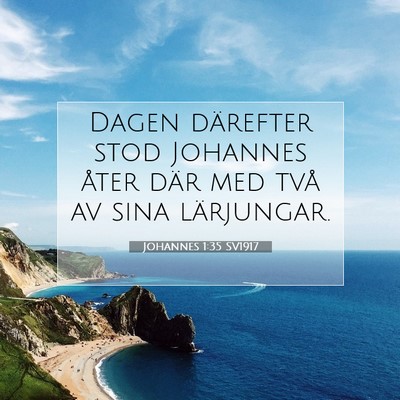 Johannes 1:35 SV1917 Bild av bibelvers