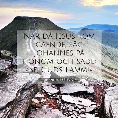 Johannes 1:36 SV1917 Bild av bibelvers