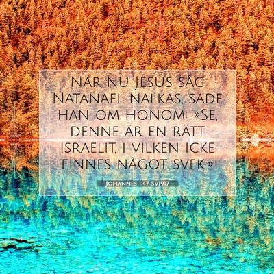 Johannes 1:47 SV1917 Bild av bibelvers