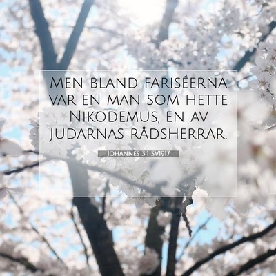 Johannes 3:1 SV1917 Bild av bibelvers