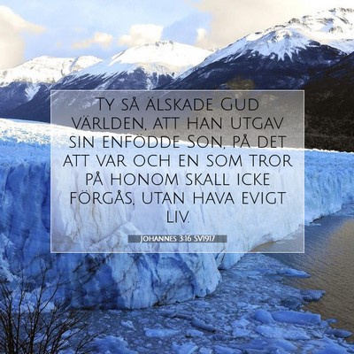 Johannes 3:16 SV1917 Bild av bibelvers