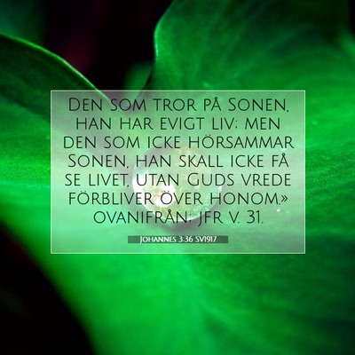 Johannes 3:36 SV1917 Bild av bibelvers