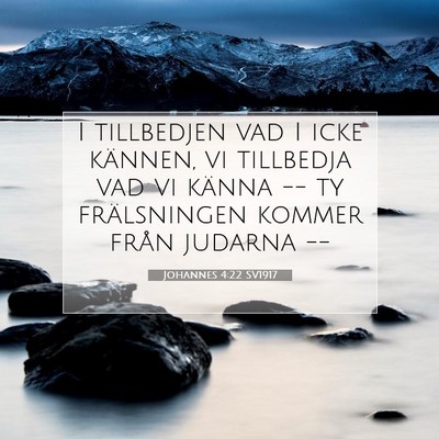 Johannes 4:22 SV1917 Bild av bibelvers