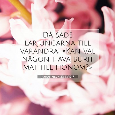 Johannes 4:33 Bibelvers Förklarad