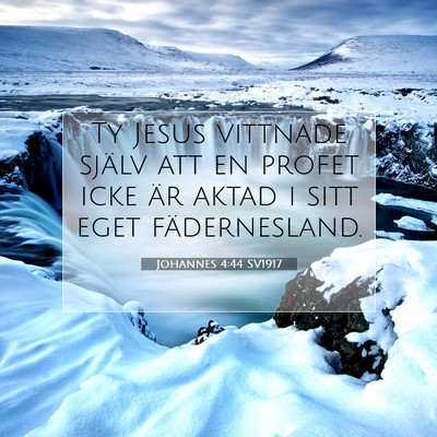 Johannes 4:44 Bibelvers Förklarad