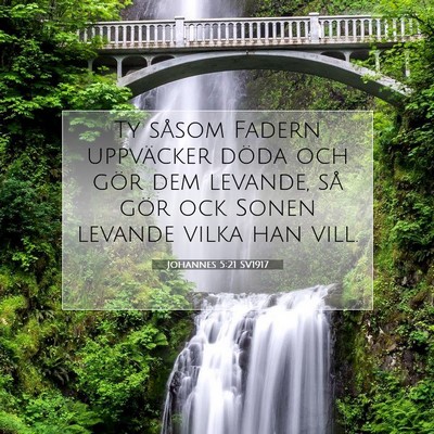 Johannes 5:21 SV1917 Bild av bibelvers
