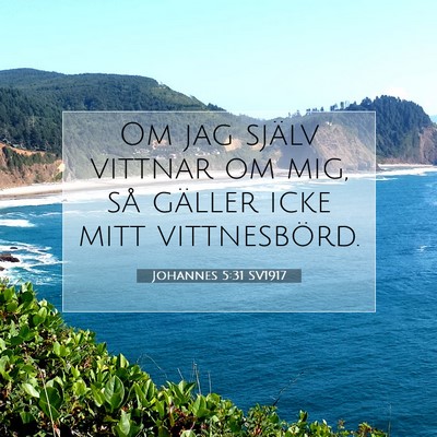 Johannes 5:31 Bibelvers Förklarad
