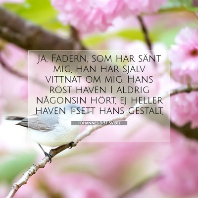 Johannes 5:37 Bibelvers Förklarad