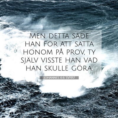Johannes 6:6 Bibelvers Förklarad