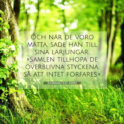 Johannes 6:12 SV1917 Bild av bibelvers